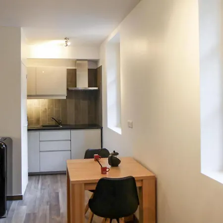 Studio Le Chalet Suisse-1 Apartment Chamonix